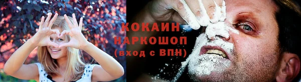 дживик Аркадак