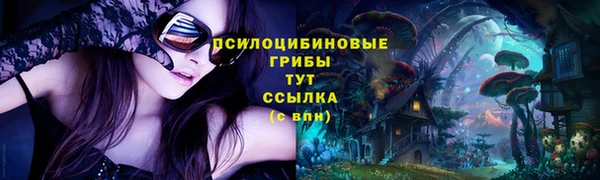 меф Арсеньев