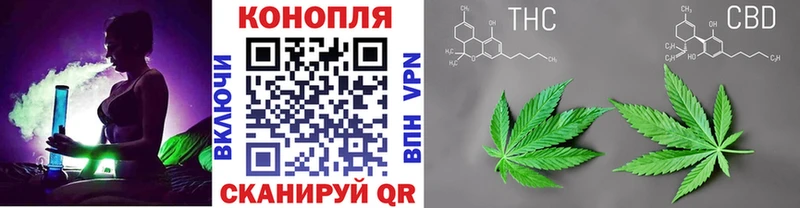 кракен ONION  Истра  Шишки марихуана THC 21% 